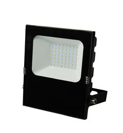 لامپ 10 / 20W تجاری LED در فضای باز چراغ روشنایی در فضای باز LED 220V یا DC 10-24V